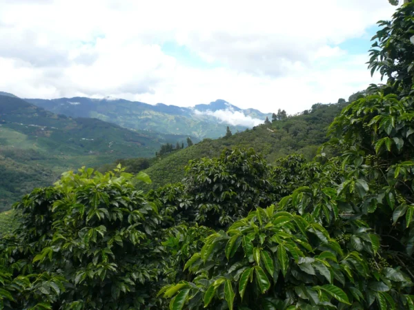 costa-rica-cordillera-de-fuego